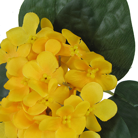 Prymulka 20cm żółte kwiaty